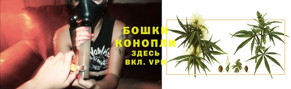 молекула духа Горнозаводск