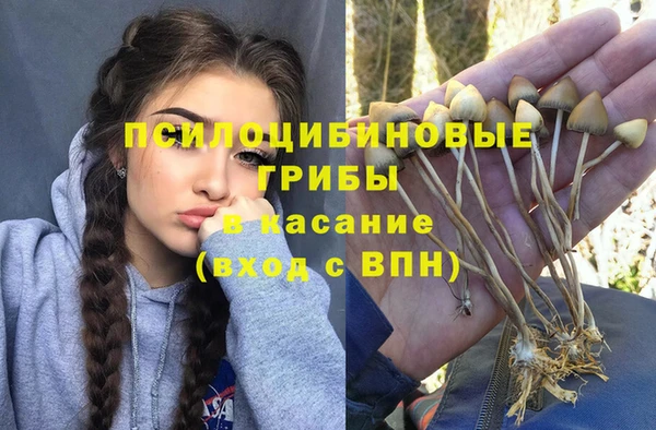 стафф Горно-Алтайск