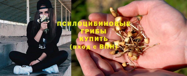 стафф Горно-Алтайск