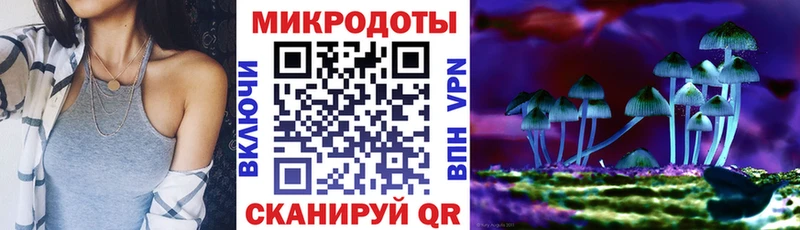 Купить закладки  Нурлат  Псилоцибиновые грибы Psilocybe 